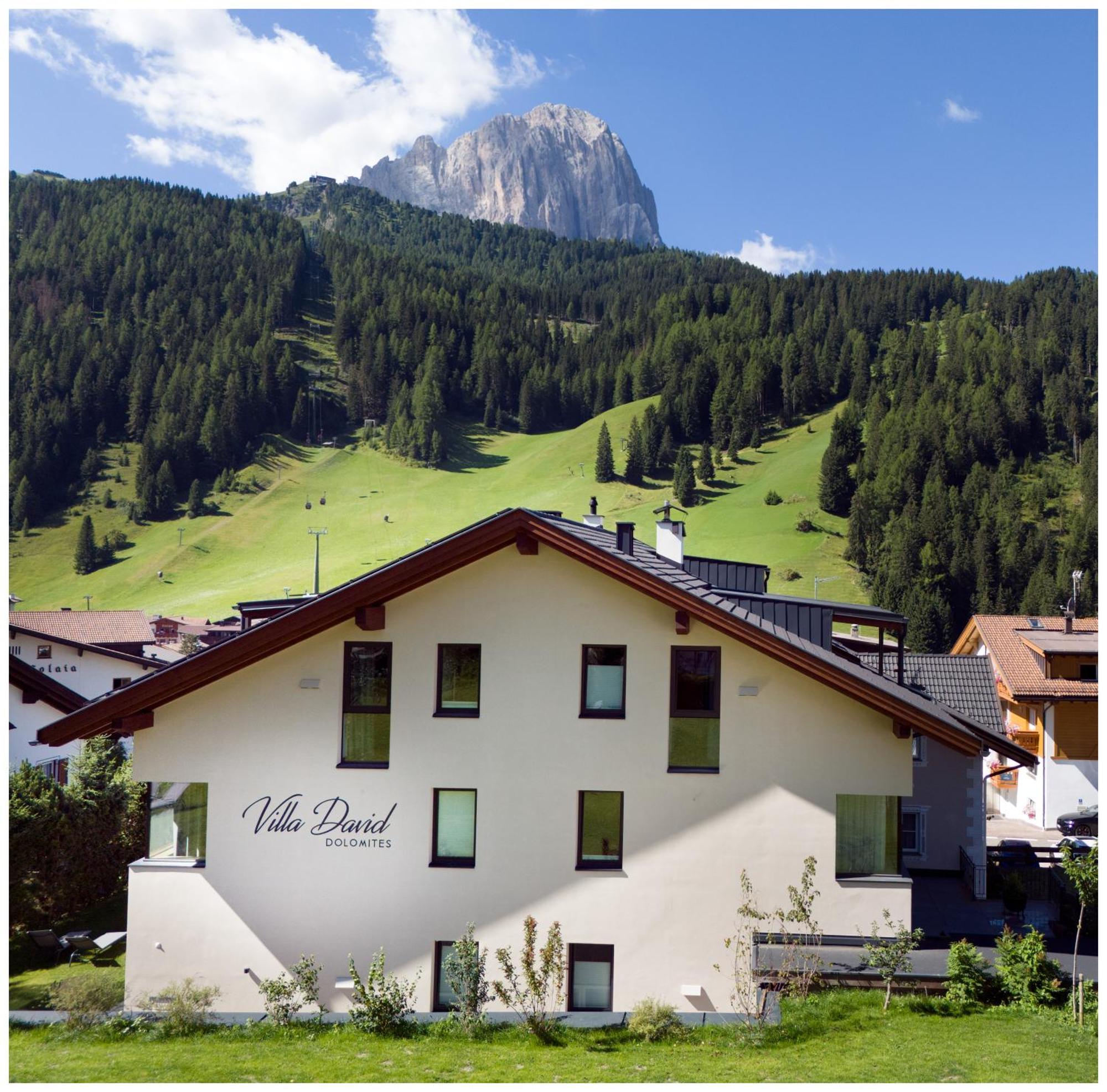 Villa David Dolomites Sëlva Buitenkant foto