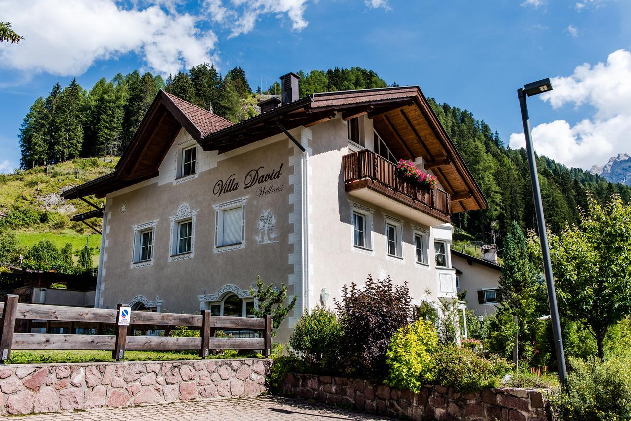 Villa David Dolomites Sëlva Buitenkant foto