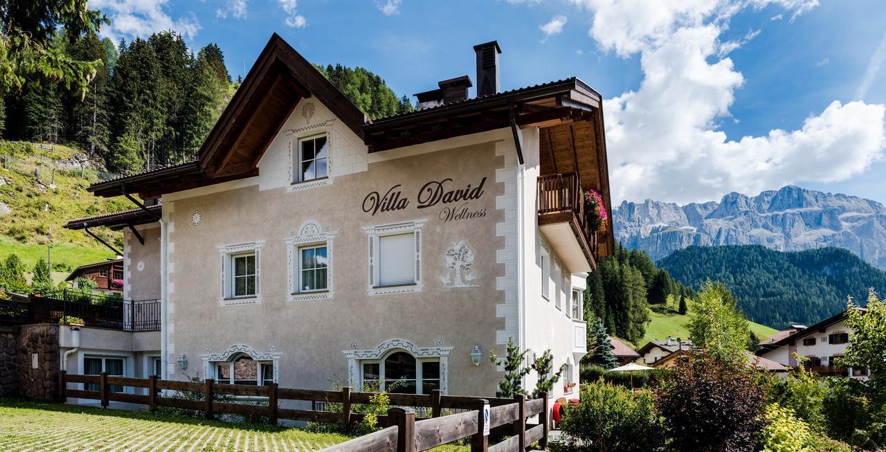 Villa David Dolomites Sëlva Buitenkant foto