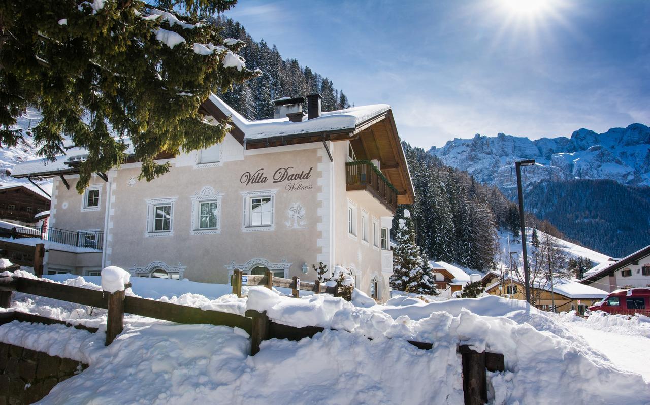 Villa David Dolomites Sëlva Buitenkant foto