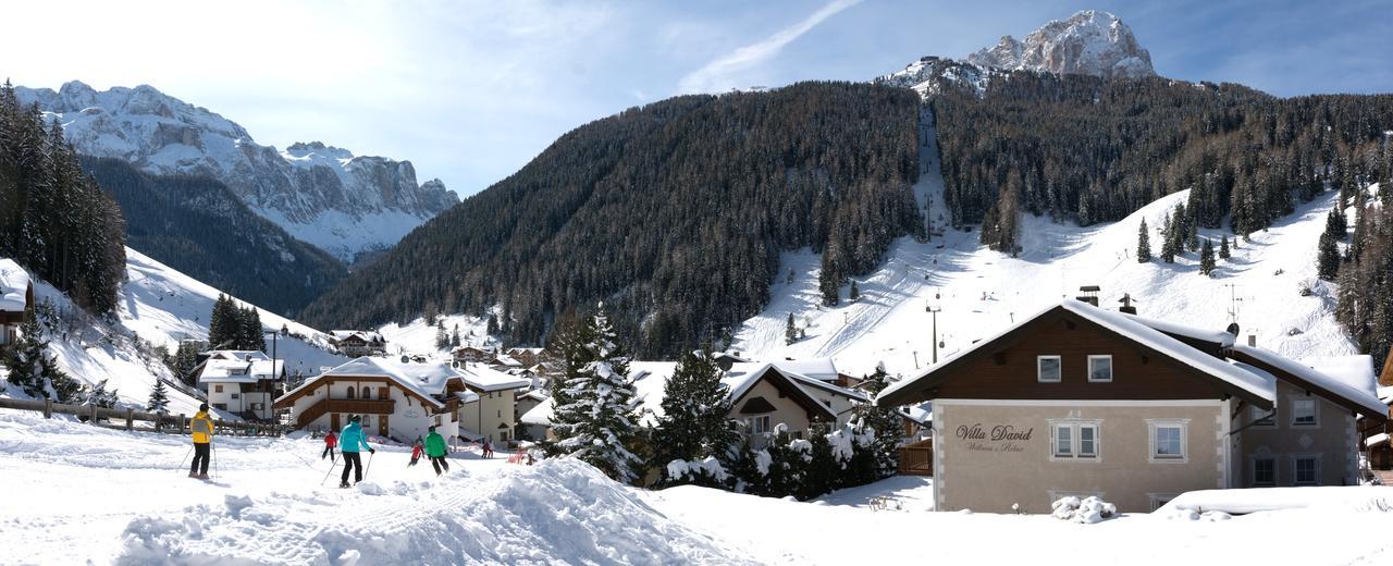 Villa David Dolomites Sëlva Buitenkant foto